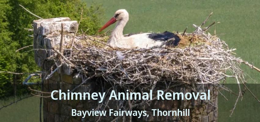 Chimney Animal Removal Bayview Fairways, Thornhill - ON