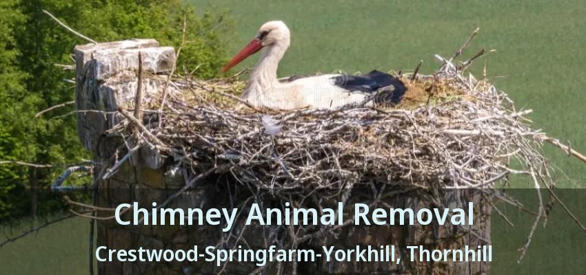 Chimney Animal Removal Crestwood-Springfarm-Yorkhill, Thornhill - ON