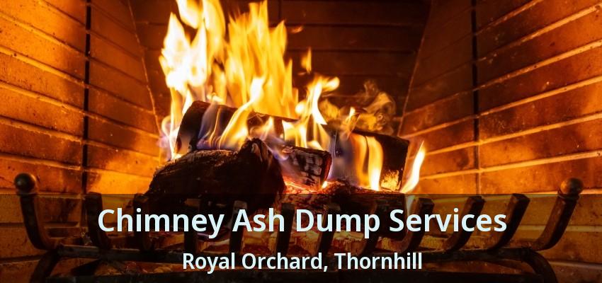Chimney Ash Dump Services Royal Orchard, Thornhill - ON