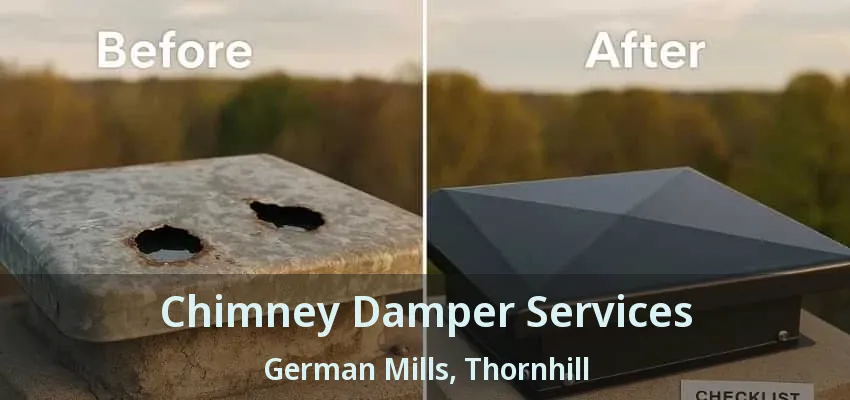 Chimney Damper Services German Mills, Thornhill - ON