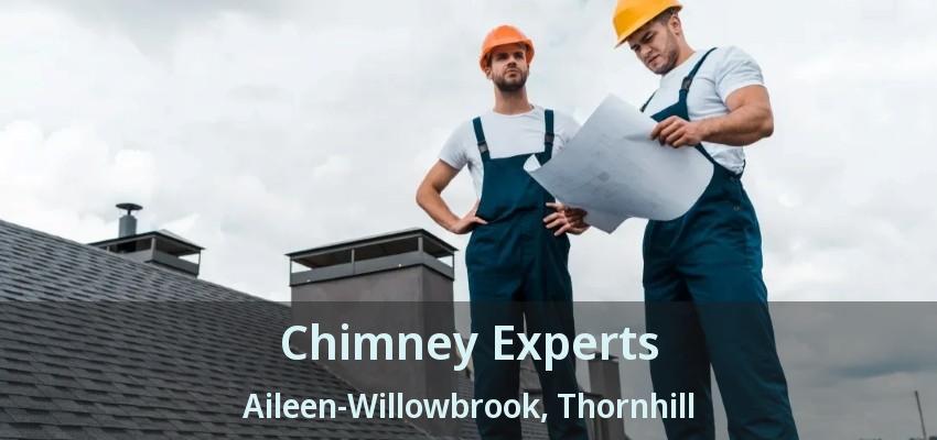 Chimney Experts Aileen-Willowbrook, Thornhill - ON