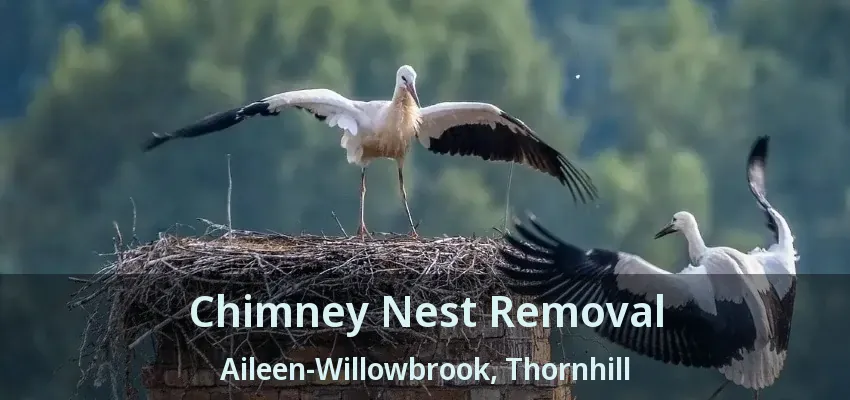 Chimney Nest Removal Aileen-Willowbrook, Thornhill - ON