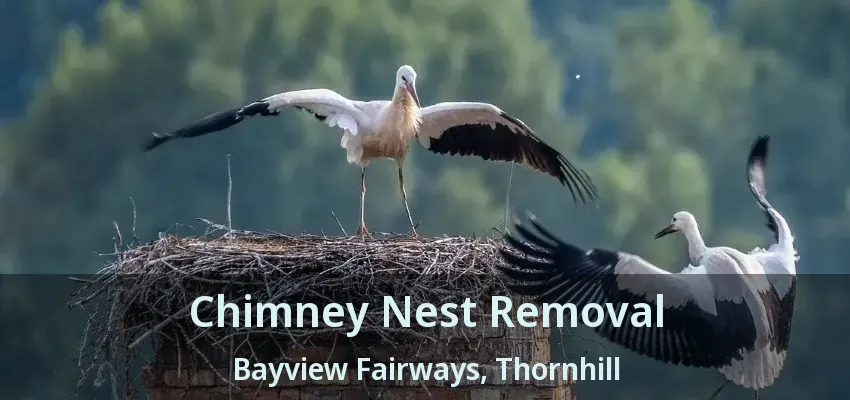 Chimney Nest Removal Bayview Fairways, Thornhill - ON