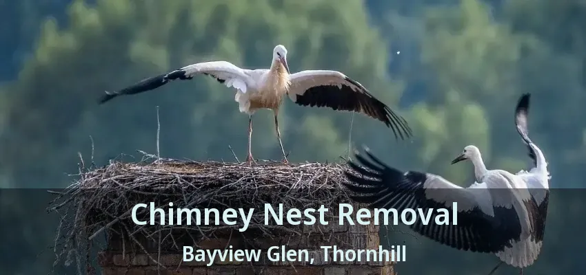 Chimney Nest Removal Bayview Glen, Thornhill - ON