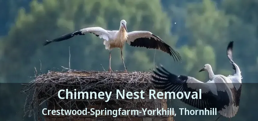 Chimney Nest Removal Crestwood-Springfarm-Yorkhill, Thornhill - ON