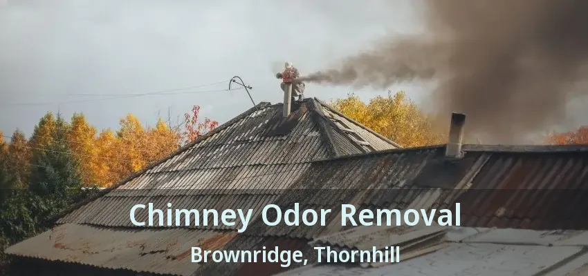 Chimney Odor Removal Brownridge, Thornhill - ON