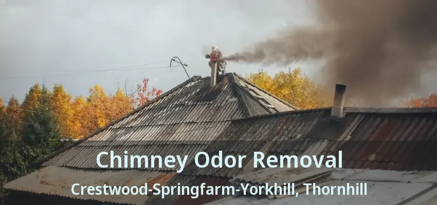 Chimney Odor Removal Crestwood-Springfarm-Yorkhill, Thornhill - ON