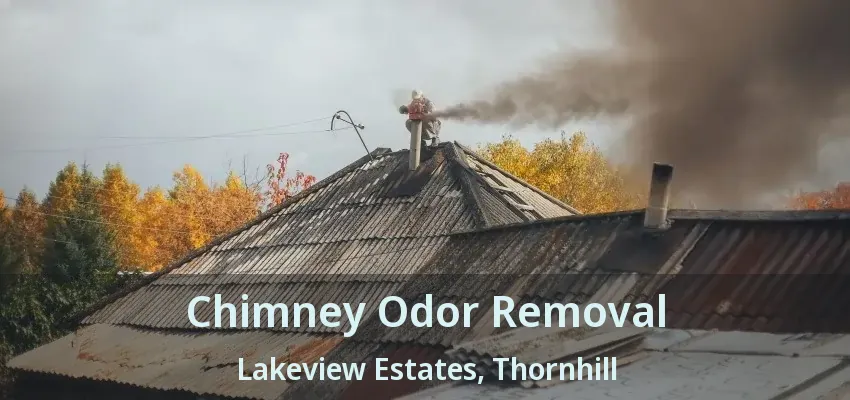Chimney Odor Removal Lakeview Estates, Thornhill - ON