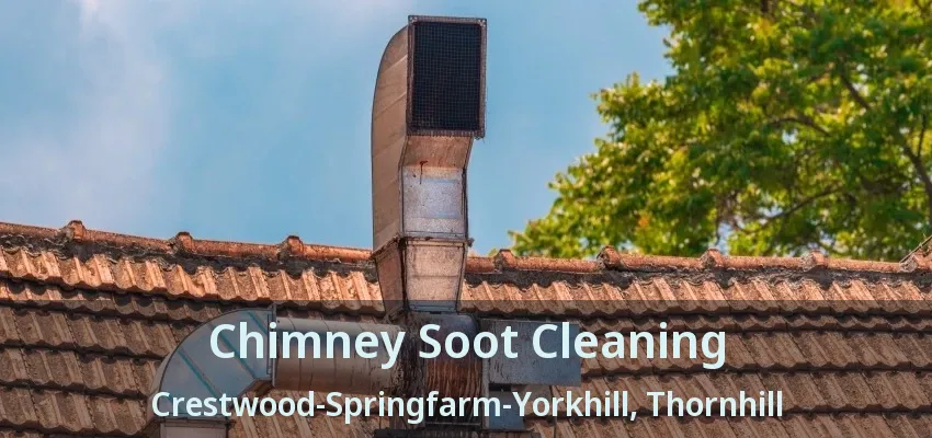 Chimney Soot Cleaning Crestwood-Springfarm-Yorkhill, Thornhill - ON
