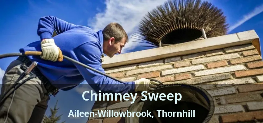 Chimney Sweep Aileen-Willowbrook, Thornhill - ON