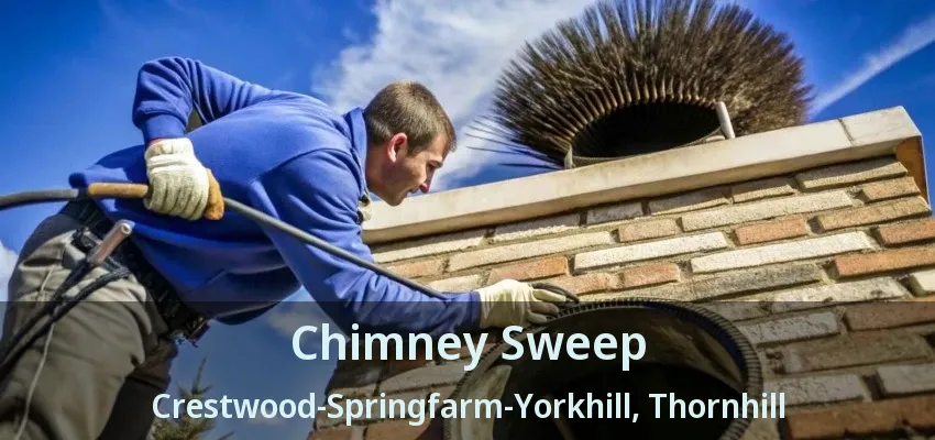 Chimney Sweep Crestwood-Springfarm-Yorkhill, Thornhill - ON