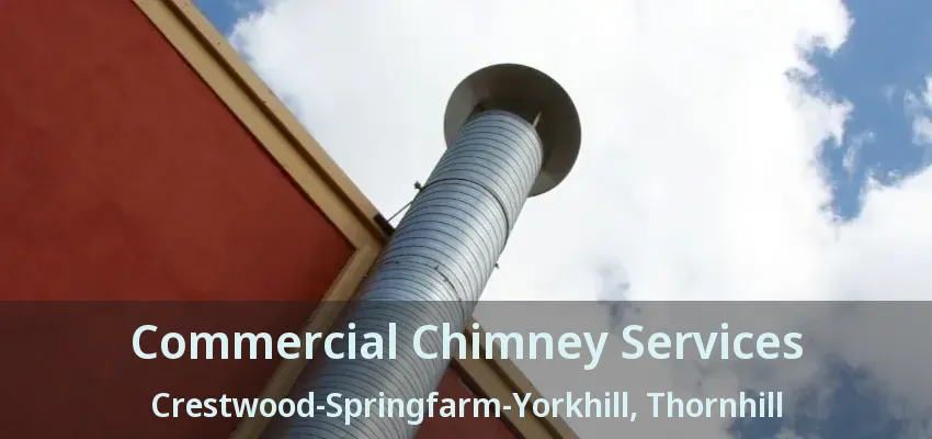 Commercial Chimney Services Crestwood-Springfarm-Yorkhill, Thornhill - ON