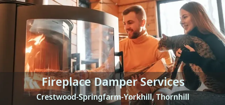 Fireplace Damper Services Crestwood-Springfarm-Yorkhill, Thornhill - ON