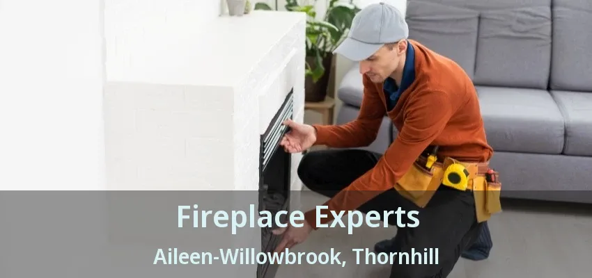 Fireplace Experts Aileen-Willowbrook, Thornhill - ON