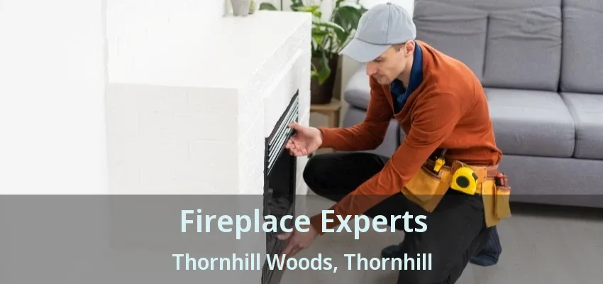 Fireplace Experts Thornhill Woods, Thornhill - ON