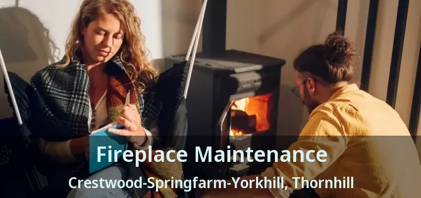 Fireplace Maintenance Crestwood-Springfarm-Yorkhill, Thornhill - ON