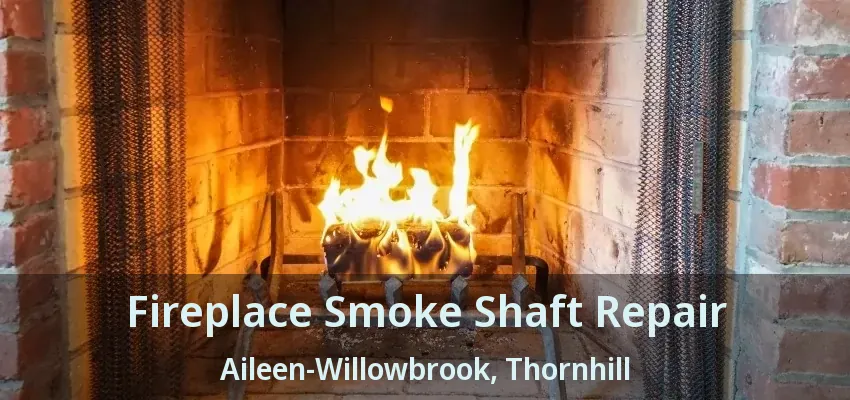 Fireplace Smoke Shaft Repair Aileen-Willowbrook, Thornhill - ON