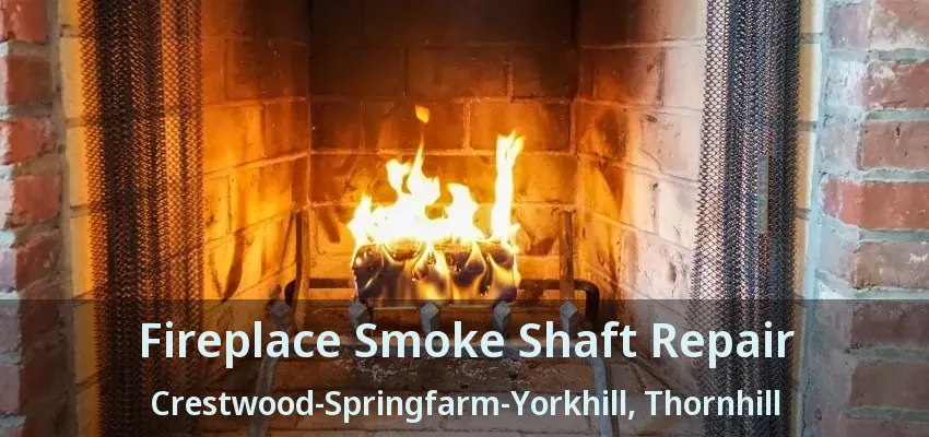 Fireplace Smoke Shaft Repair Crestwood-Springfarm-Yorkhill, Thornhill - ON
