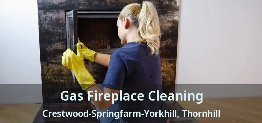 Gas Fireplace Cleaning Crestwood-Springfarm-Yorkhill, Thornhill - ON