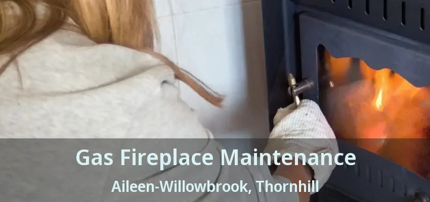 Gas Fireplace Maintenance Aileen-Willowbrook, Thornhill - ON