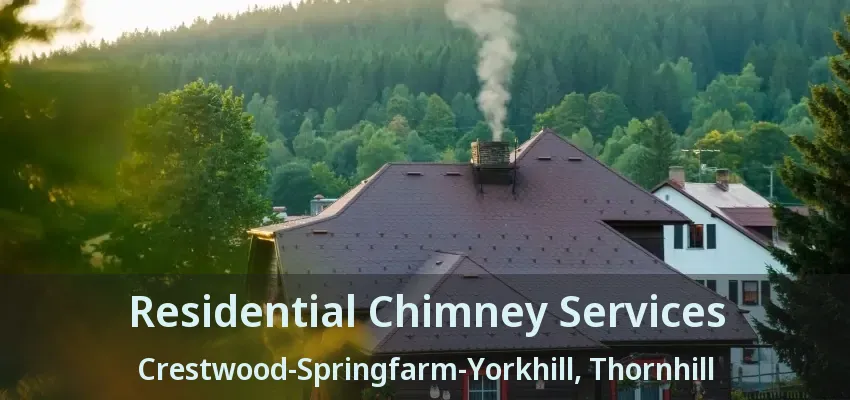 Residential Chimney Services Crestwood-Springfarm-Yorkhill, Thornhill - ON
