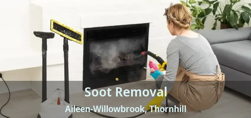 Soot Removal Aileen-Willowbrook, Thornhill - ON