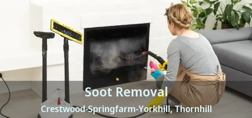 Soot Removal Crestwood-Springfarm-Yorkhill, Thornhill - ON