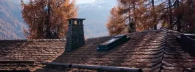 Chimney Animal Removal Bayview Fairways, Thornhill