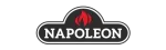 Napoleon Town & Country Gas Fireplace Repair in Thornhill